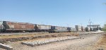 MP 723678